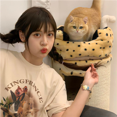 长宁伴游女生星晓莉的资料